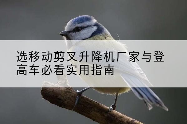 沙雅电动升降机厂家-选移动剪叉升降机厂家与登高车必看实用指南