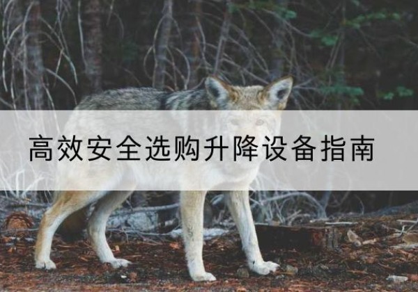 沙雅升降货梯厂家推荐-*安全选购升降设备指南