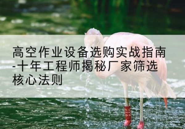 沙雅剪叉式升降机厂家-高空作业设备选购实战指南-十年工程师揭秘厂家筛选核心法则